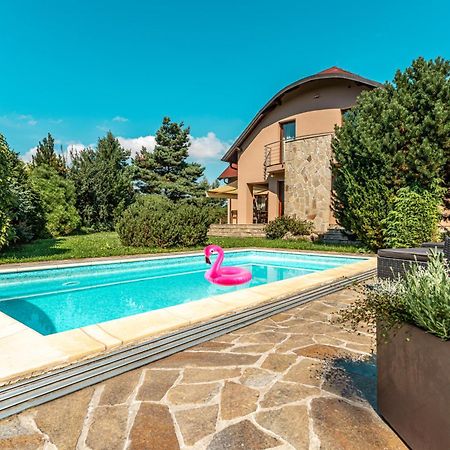 Villa With Pool & Sauna In Beer Village Velké Popovice Exterior foto